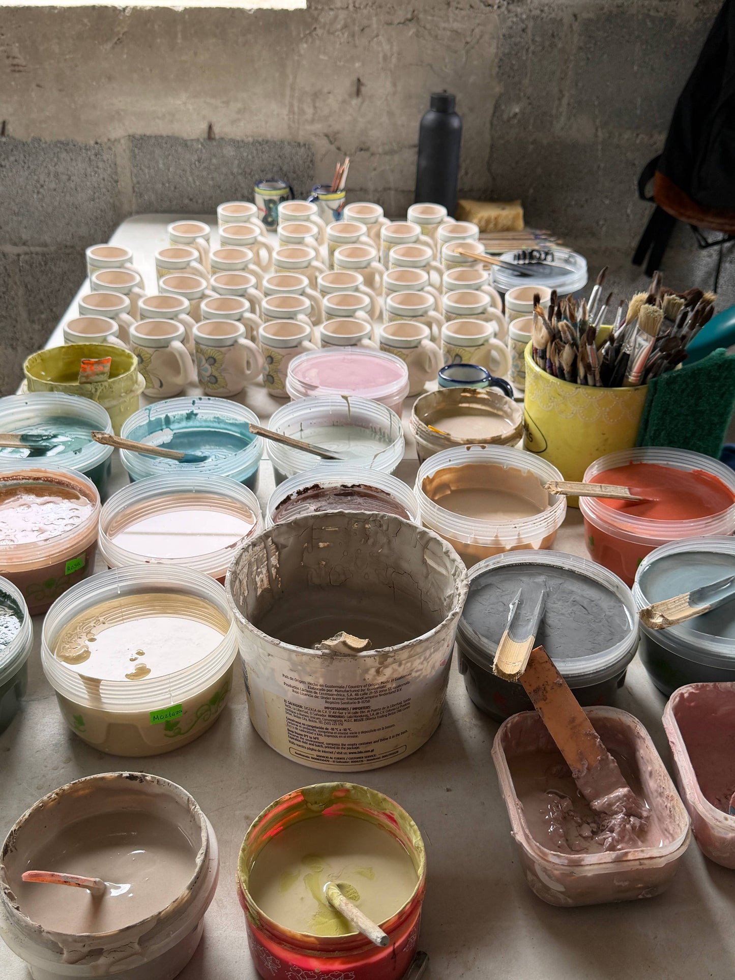 Wild Bird Espresso Cups