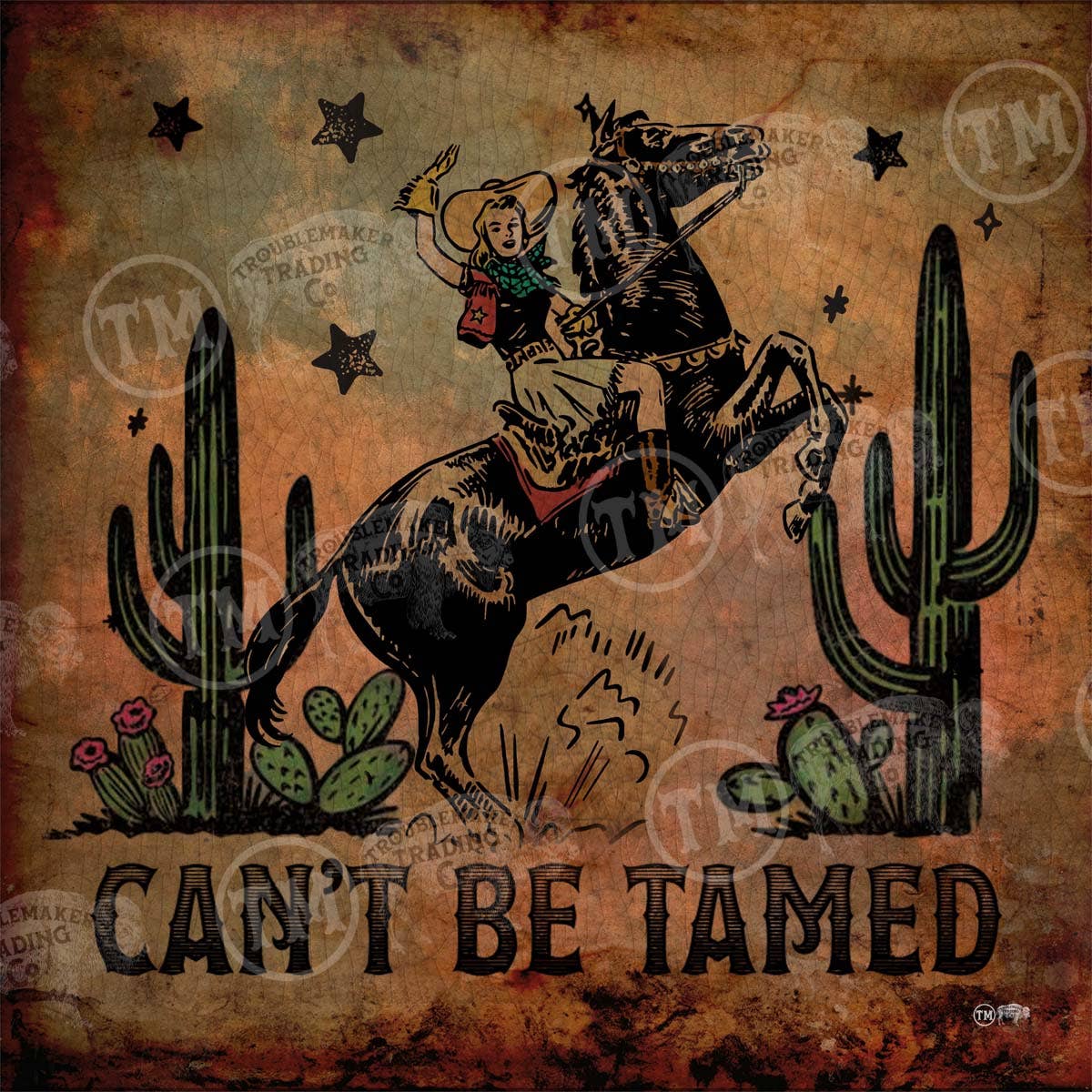 Can't be Tamed Cowgirl Square Framed Retro Western Theme Artwork