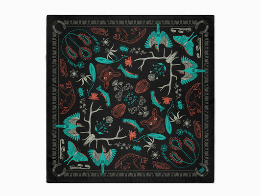 Bob Marshall Wilderness - Montana - Bandana