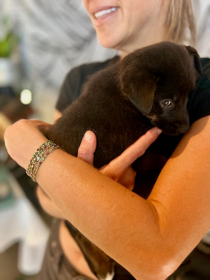 Greens Browns & Gold 5-Wrap Seed Bead Wrap Stack Bracelet